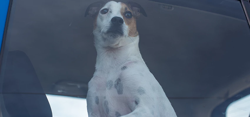 Car Lockout Solutions in Pico Rivera, California